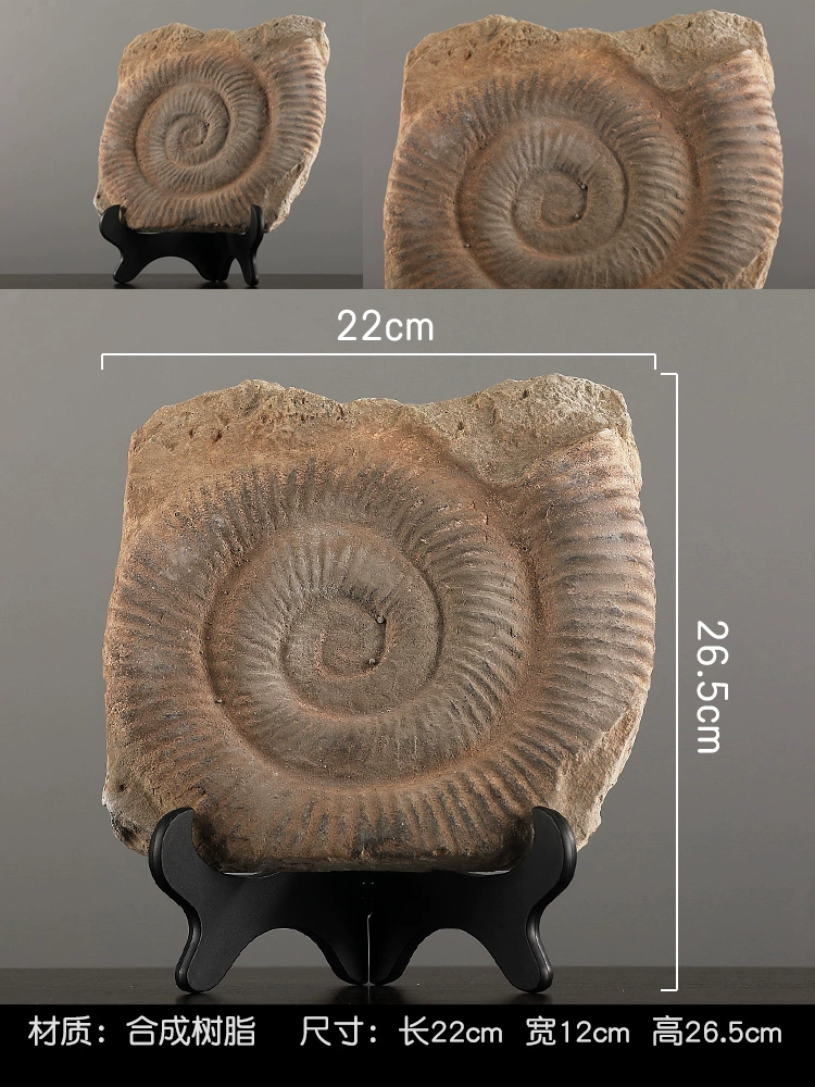 Dinosaur retro ornaments crafts creative wall hanging soft decoration office desktop decoration ornaments orchids - Image 17