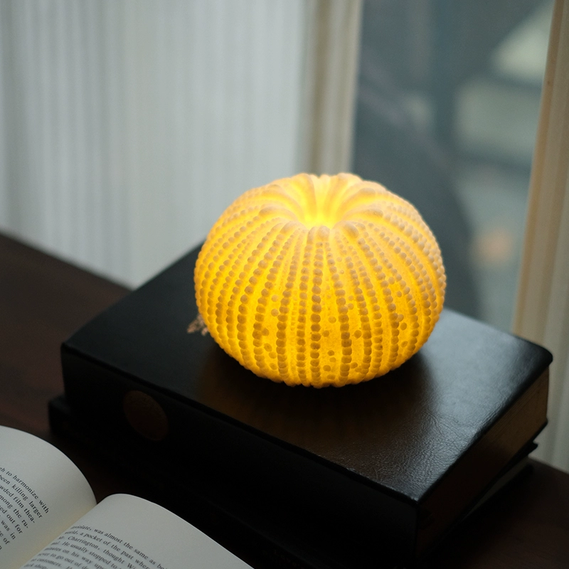 Shell & Conch Ambient Night Light – Creative Ocean-Inspired Bedroom Décor - Image 7