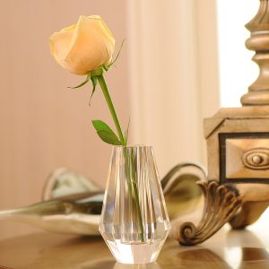 Mini Crystal Vase – Creative Dining Table & Windowsill Décor