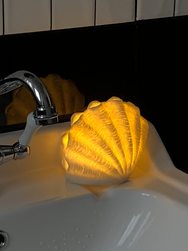 Shell & Conch Ambient Night Light – Creative Ocean-Inspired Bedroom Décor - Image 3