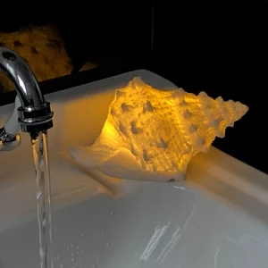 Shell & Conch Ambient Night Light – Creative Ocean-Inspired Bedroom Décor