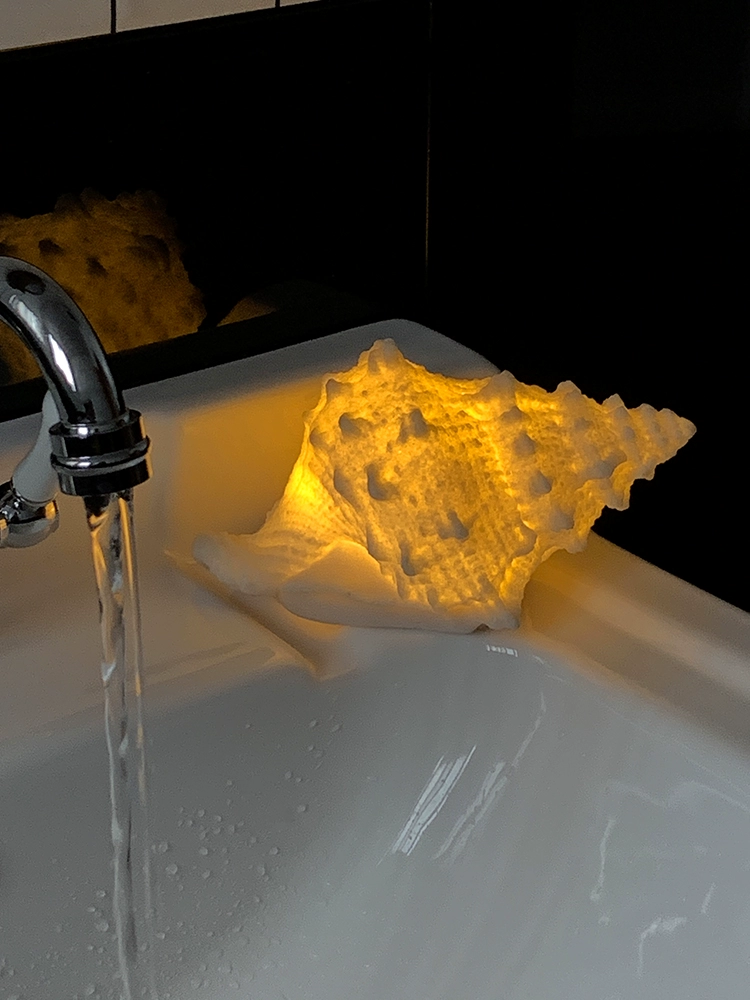 Shell & Conch Ambient Night Light – Creative Ocean-Inspired Bedroom Décor